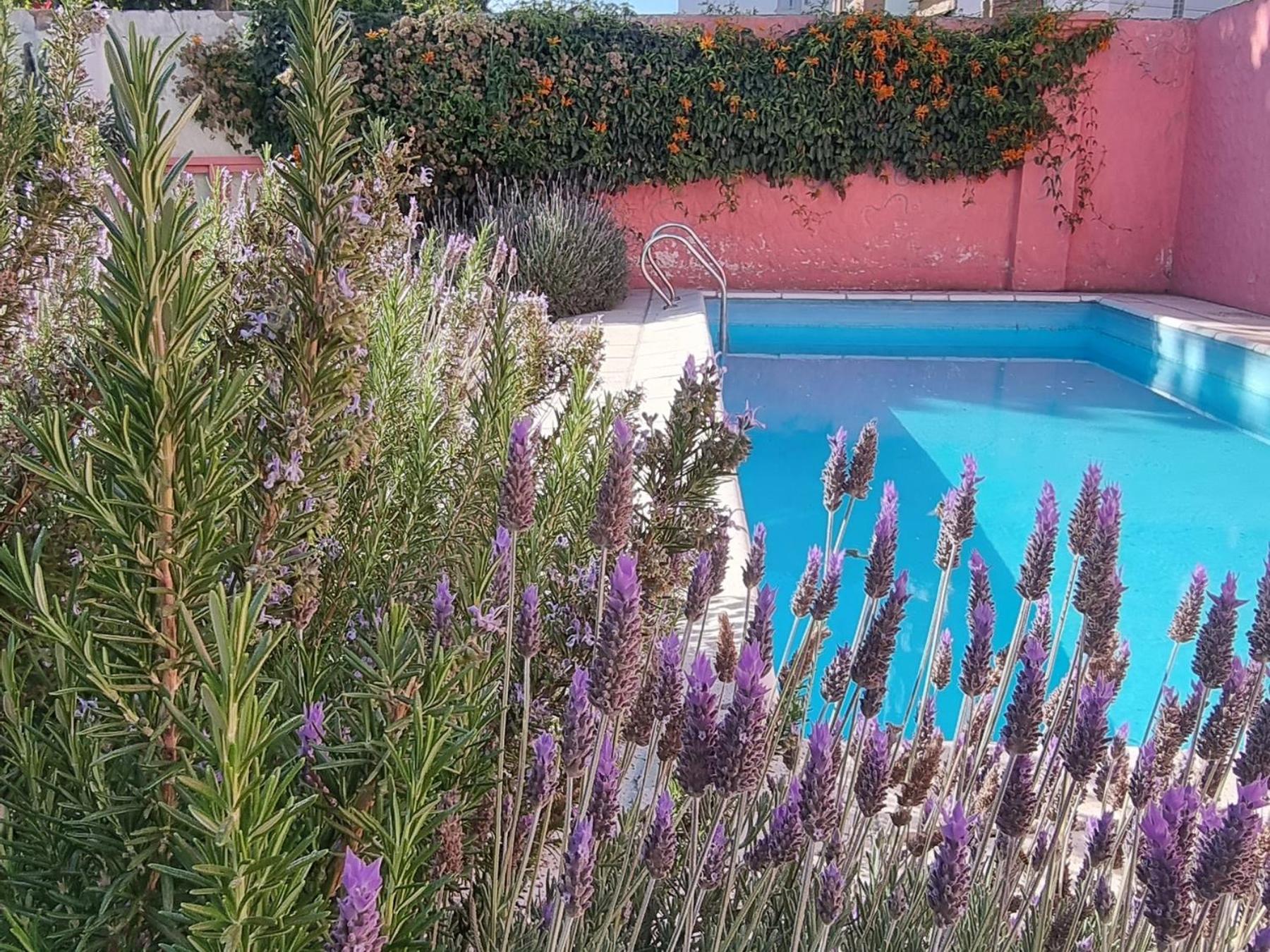 Yunga Hostel Salta